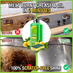 Powerful Multifunctional Cleaner (Pack of 4)