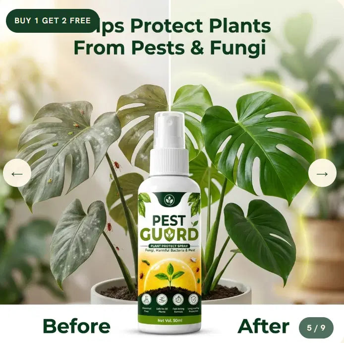 Pest Guard Plant Protect Spray (Buy 1 Get 2 Free) – omniva store