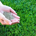 Grass Seeds Hybrid Best For Your Beautiful Home Gardening(400 gm/Pack)